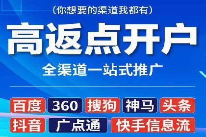 竞价托管与SEO结合的案例分析